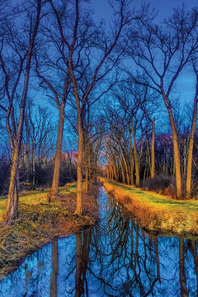 Caitlin Vera: Water In The Woods by Caitlin Vera