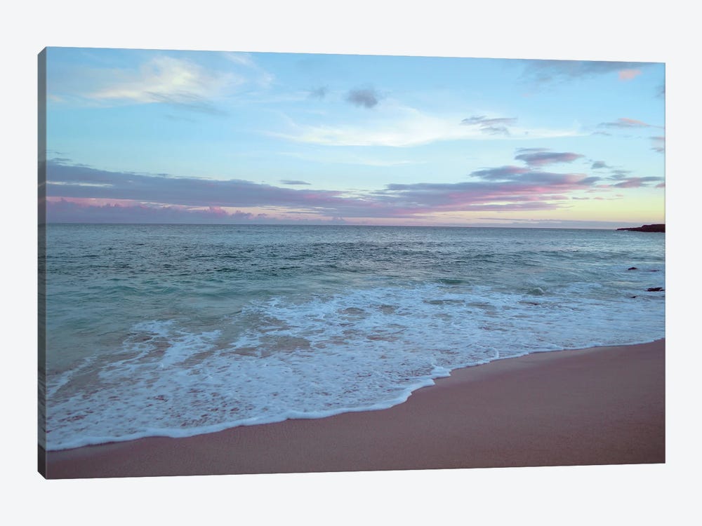 Hawaii Beach Sunset I by Carlos Vargas 1-piece Canvas Artwork