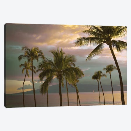 Hawaii Palm Sunset I Canvas Print #CVG6} by Carlos Vargas Art Print