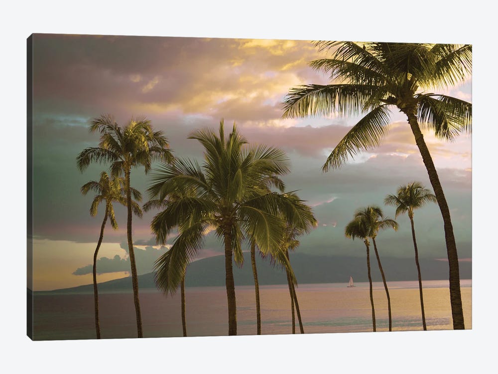 Hawaii Palm Sunset I by Carlos Vargas 1-piece Canvas Print