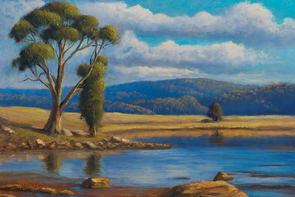 Christopher Vidal: Receding Flood Water by Christopher Vidal