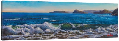Breaking Wave At Ettalong Beach NSW Canvas Art Print - Christopher Vidal