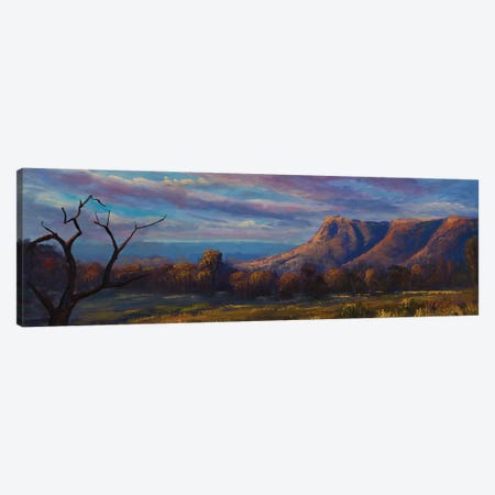 Last Light On Kings Canyon NT Canvas Print #CVI22} by Christopher Vidal Canvas Art Print