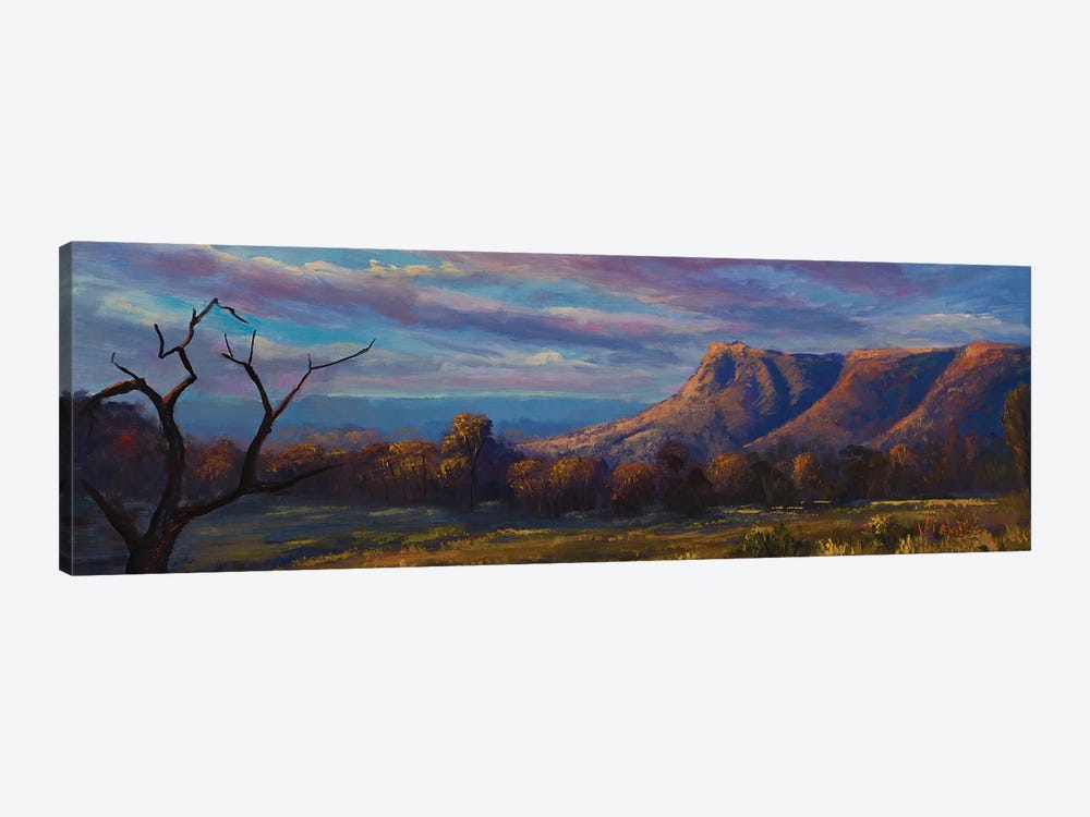 Last Light On Kings Canyon NT by Christopher Vidal 1-piece Canvas Art Print