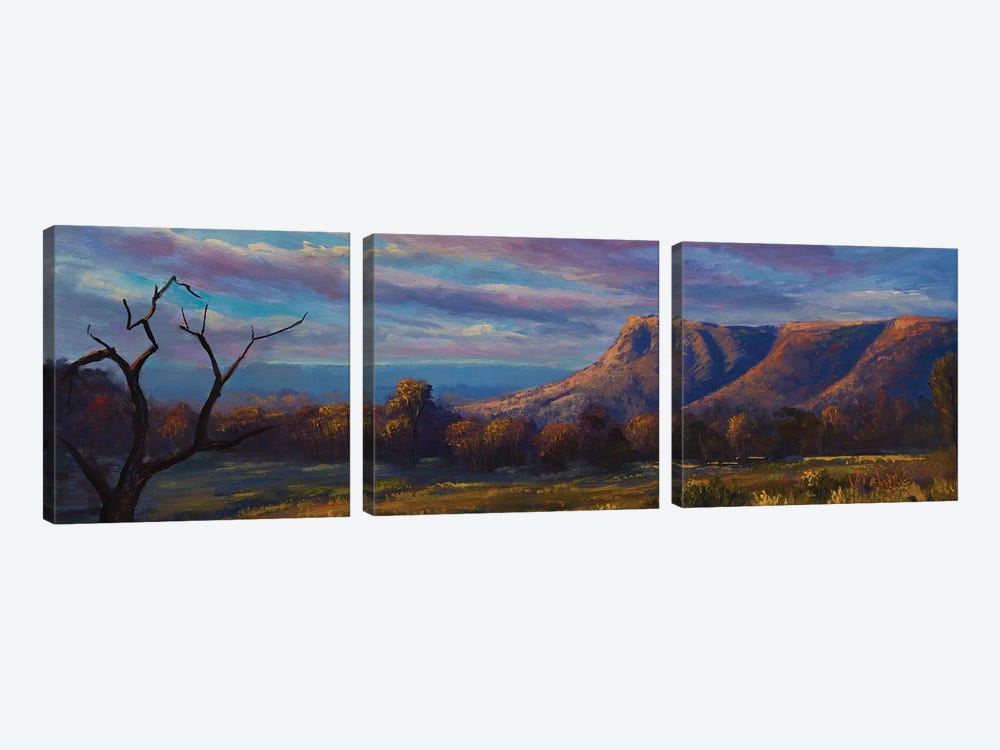 Last Light On Kings Canyon NT by Christopher Vidal 3-piece Canvas Print