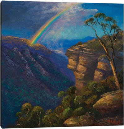 On The Wall Of Kanangra Boyd NP Canvas Art Print - Rainbow Art