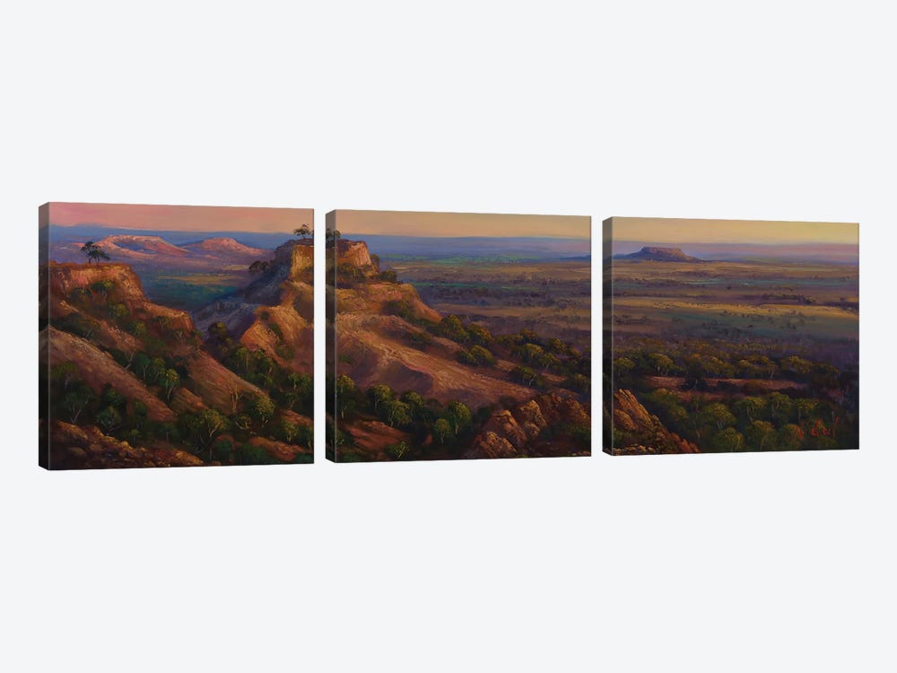 The View From Mt Slowcombe Yaraka QLD by Christopher Vidal 3-piece Art Print