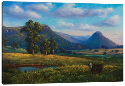 Views Of Dunville Loop, Capertee Valley Canvas Art Print - New South Wales Art
