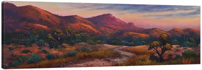 Warm Lights At Flinders Ranges SA Canvas Art Print - Christopher Vidal