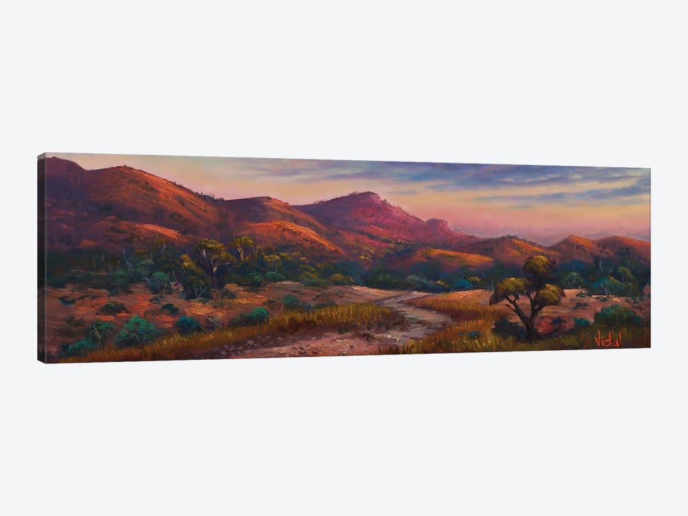 Warm Lights At Flinders Ranges SA by Christopher Vidal 1-piece Canvas Art Print