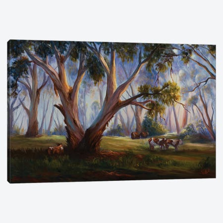 Grazing In The Australian Bush Canvas Print #CVI35} by Christopher Vidal Canvas Print