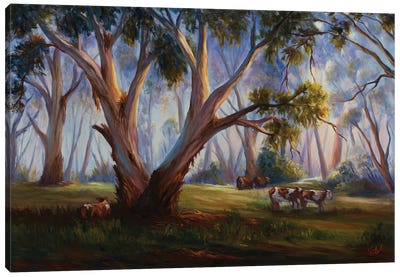Grazing In The Australian Bush Canvas Art Print - Christopher Vidal