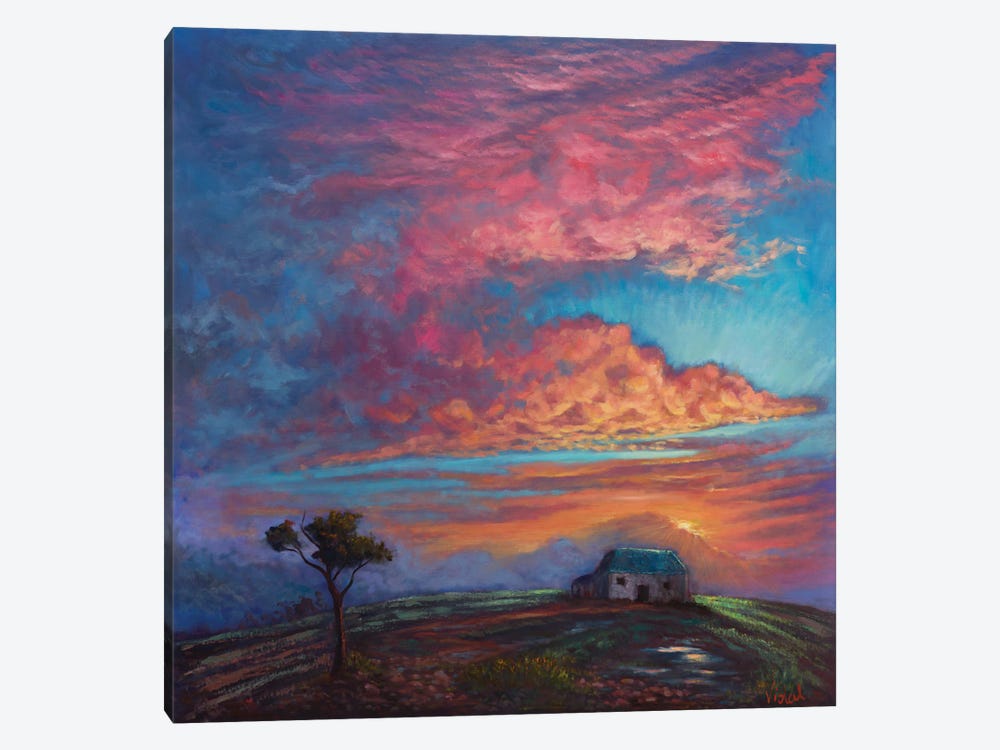 After The Storm by Christopher Vidal 1-piece Art Print