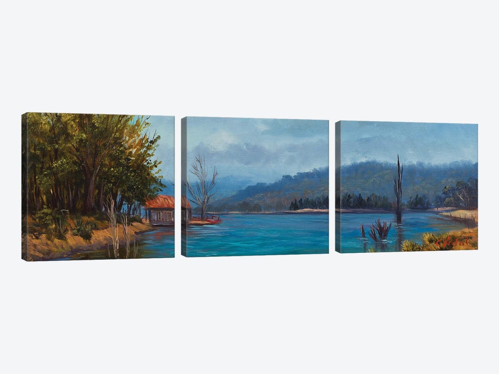 An Evening Walk Near Lake Jindabyne by Christopher Vidal 3-piece Canvas Art