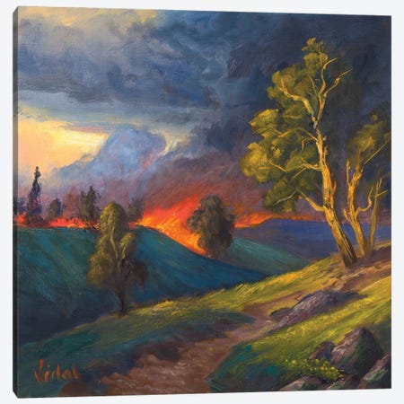 Wild Fires Canvas Print #CVI6} by Christopher Vidal Art Print