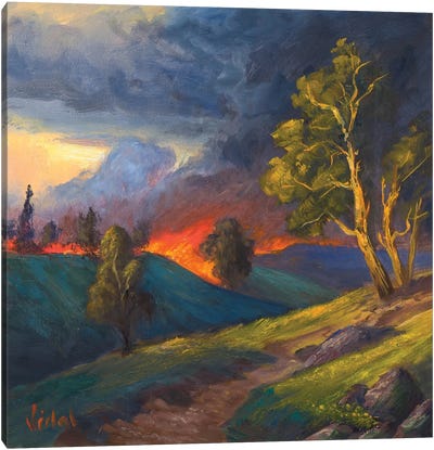 Wild Fires Canvas Art Print - Christopher Vidal