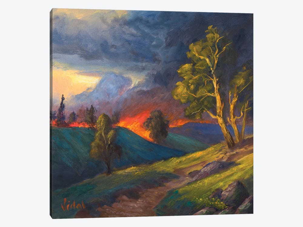 Wild Fires by Christopher Vidal 1-piece Canvas Print