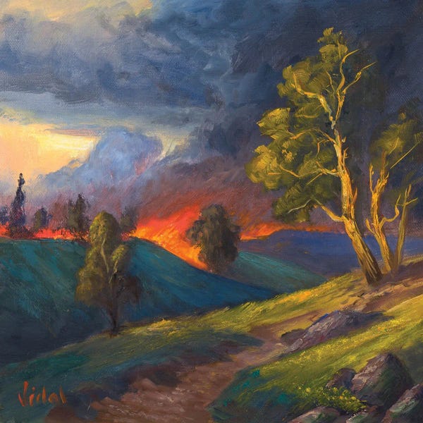 Christopher Vidal: Wild Fires by Christopher Vidal