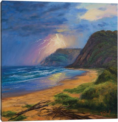 Storm On The Ocean Garie Beach Canvas Art Print - Christopher Vidal