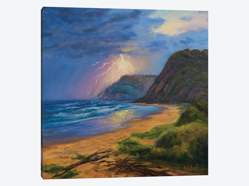 Storm On The Ocean Garie Beach by Christopher Vidal 1-piece Canvas Artwork