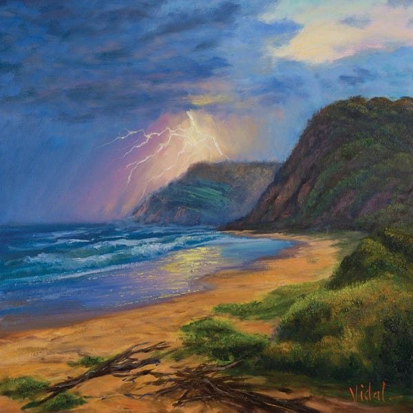 Christopher Vidal: Storm On The Ocean Garie Beach by Christopher Vidal