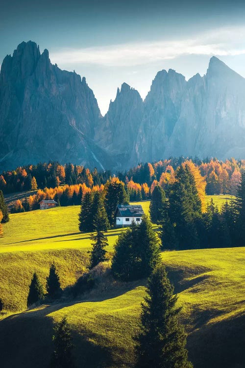 Alpe de Siusi I - Dolomites - Italy by Cuma Çevik wall art