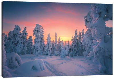 Levi Lapland - Finland Canvas Art Print - Winter Wonderland