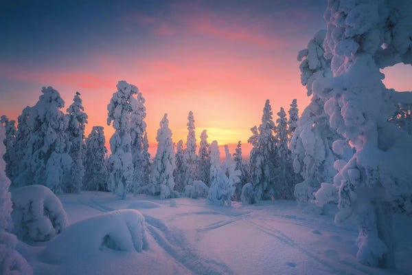 Winter Wonderland: Levi Lapland - Finland by Cuma Çevik