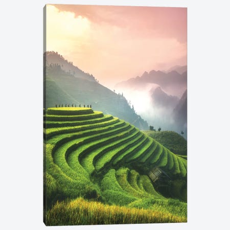 Rice Fields I - North Vietnam Canvas Print #CVK31} by Cuma Çevik Canvas Art
