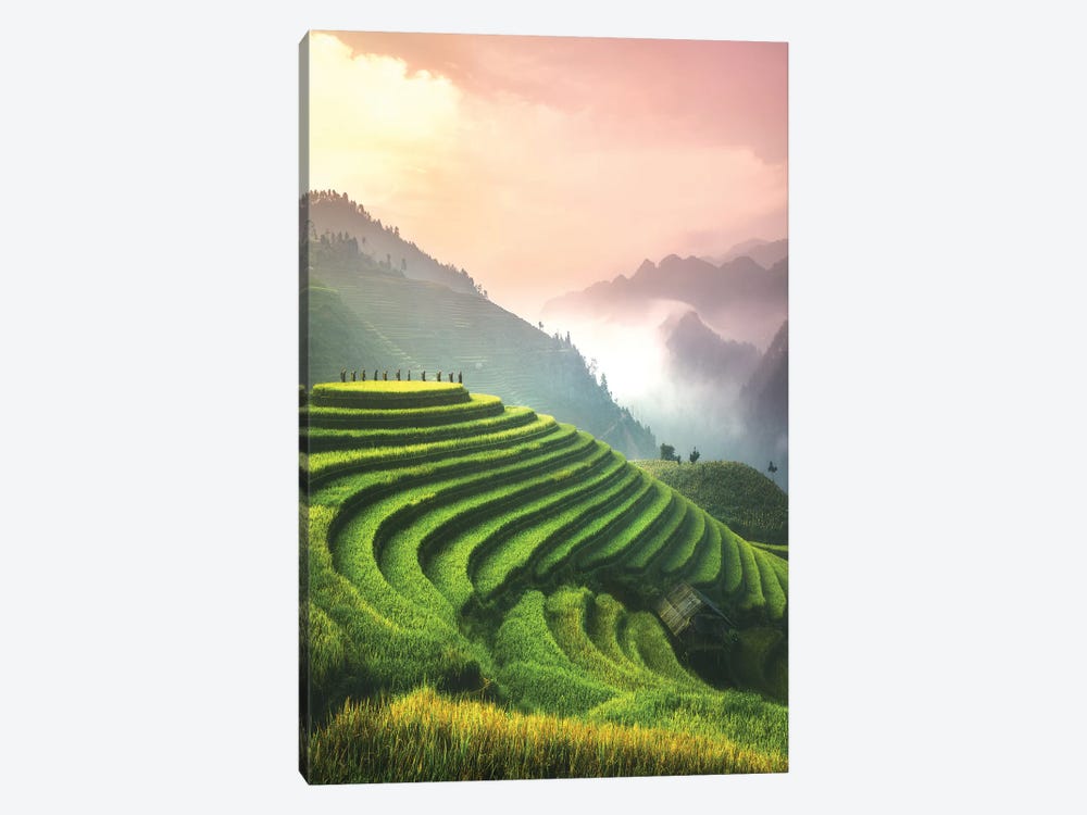 Rice Fields I - North Vietnam by Cuma Çevik 1-piece Canvas Artwork