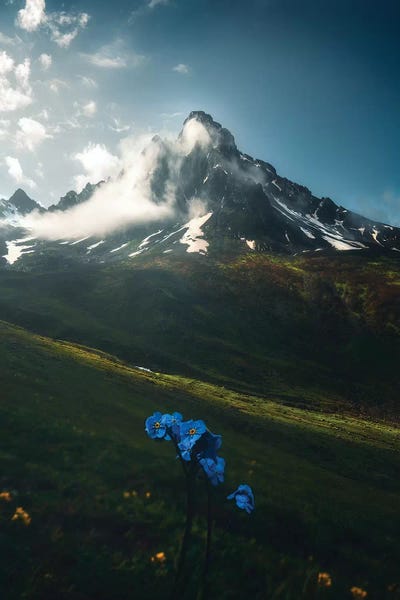 Rize I - Karadeniz - Turkey by Cuma Çevik art print