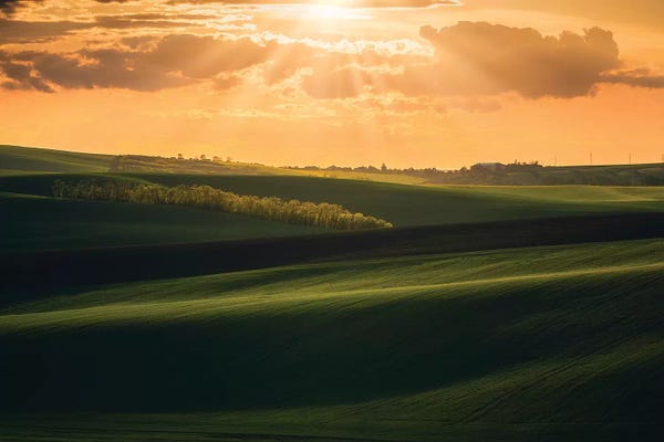 Cuma Çevik: South Moravia - Czechia by Cuma Çevik