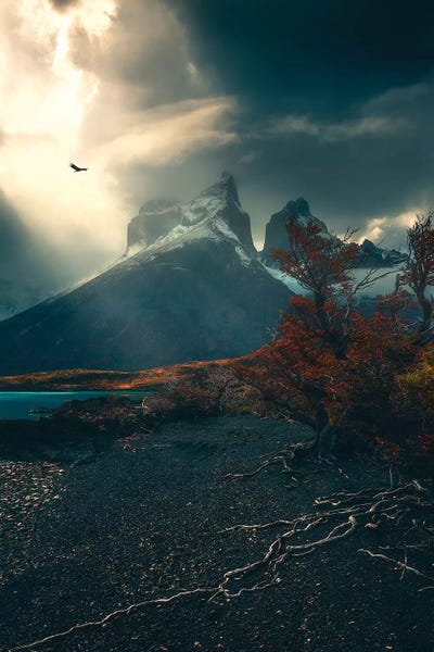 Torres Del Paine - Chile by Cuma Çevik art print