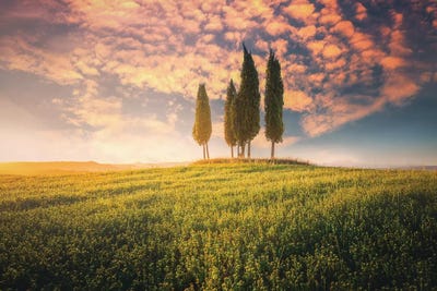 Tuscany I - Italy by Cuma Çevik art print