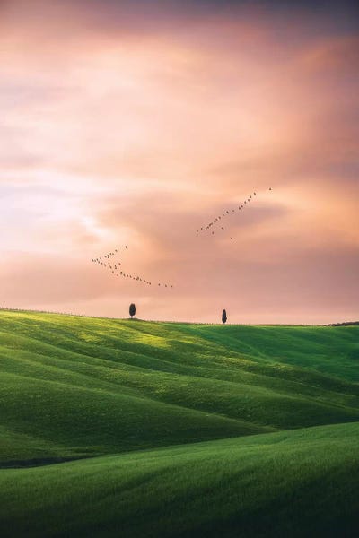 Hillsides: Tuscany III - Italy by Cuma Çevik