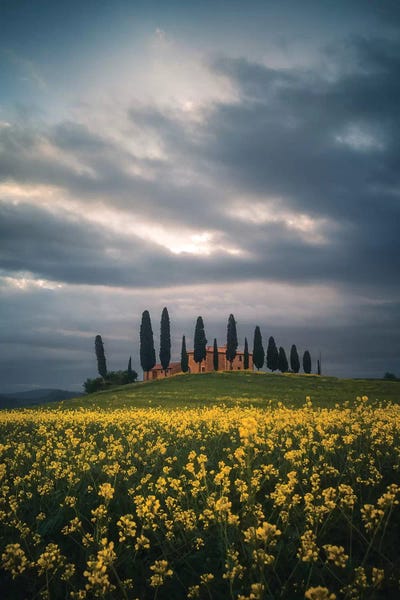 Hillsides: Tuscany IV - Italy by Cuma Çevik