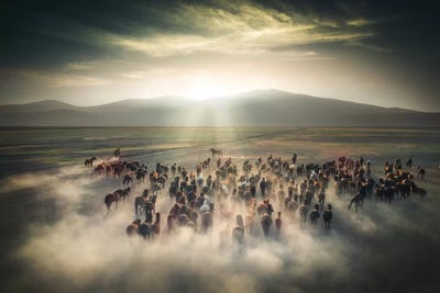 Wild Horses II - Cappadocia - Turkey by Cuma Çevik art print