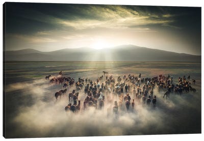 Wild Horses II - Cappadocia - Turkey Canvas Art Print - Cuma Çevik