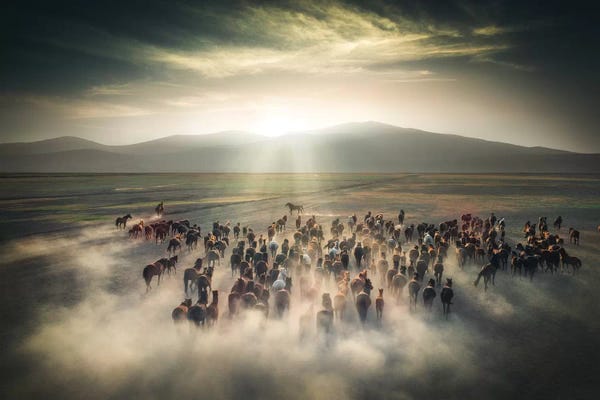 Cuma Çevik: Wild Horses II - Cappadocia - Turkey by Cuma Çevik