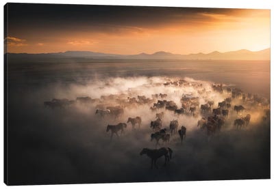 Wild Horses III - Cappadocia - Turkey Canvas Art Print - Cuma Çevik