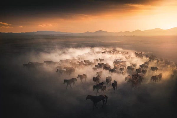 Cuma Çevik: Wild Horses III - Cappadocia - Turkey by Cuma Çevik