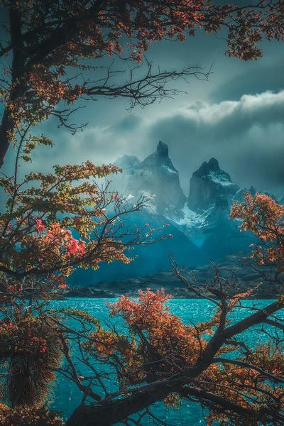 Torres Del Paine by Cuma Çevik art print
