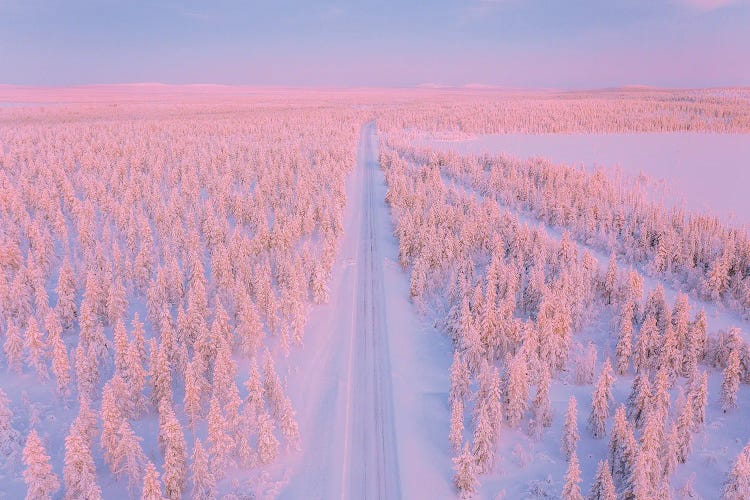 Lapland II