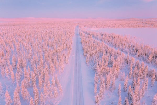 Cuma Çevik: Lapland II by Cuma Çevik