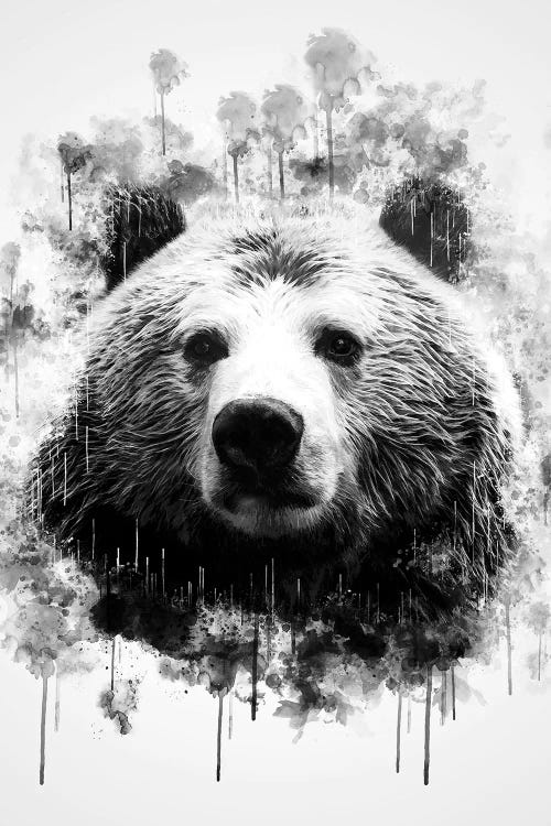 Bear Head In Black And White