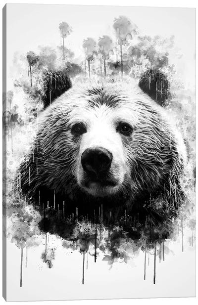 Bear Head In Black And White Canvas Art Print - Cornel Vlad