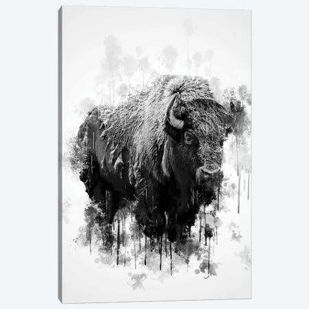 Bison In Black And White Canvas Print #CVL120} by Cornel Vlad Canvas Wall Art