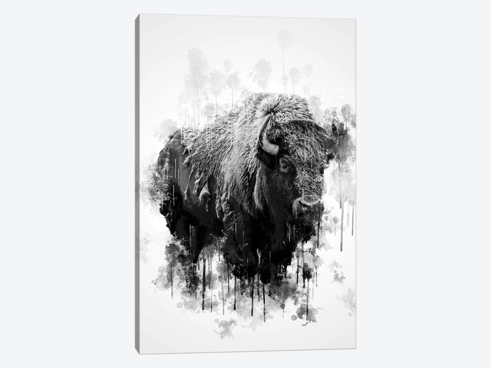 Bison In Black And White by Cornel Vlad 1-piece Canvas Artwork