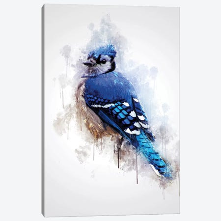 Blue Jay Bird Canvas Print #CVL121} by Cornel Vlad Canvas Artwork