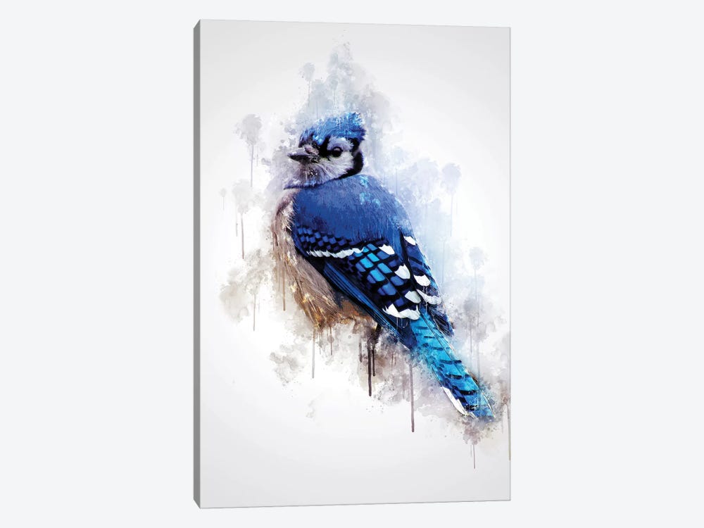 Blue Jay Bird by Cornel Vlad 1-piece Canvas Print